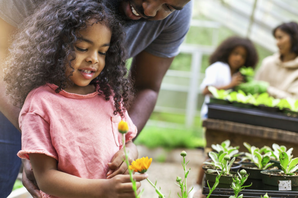 Family picking flowers at a plant nursery