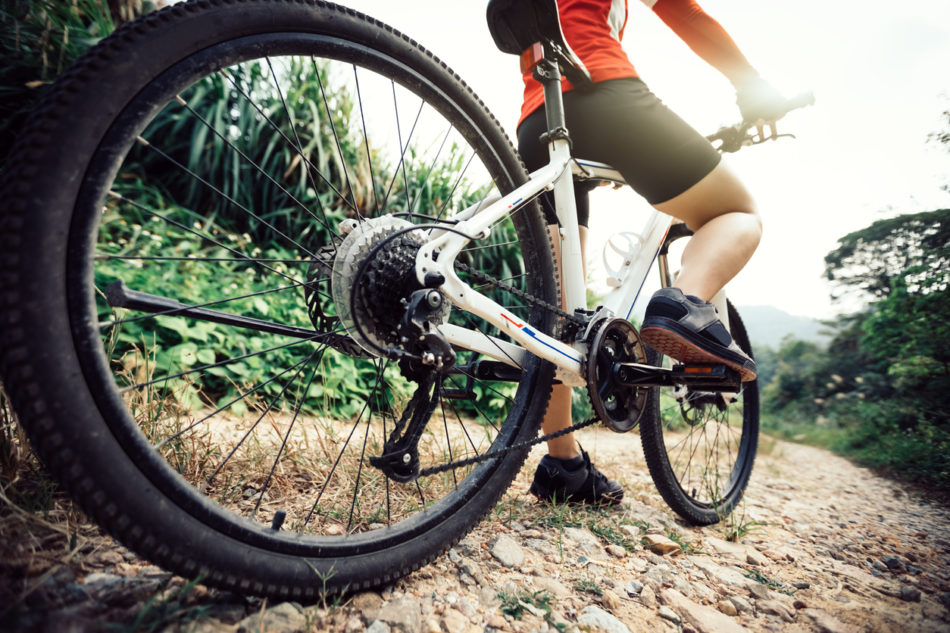 Mountain Biking on forest trail