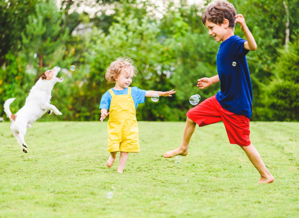 Family has fun in garden on summer day