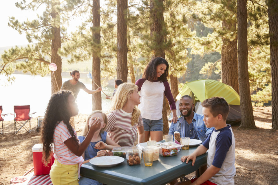 Family With Friends have a picnic.